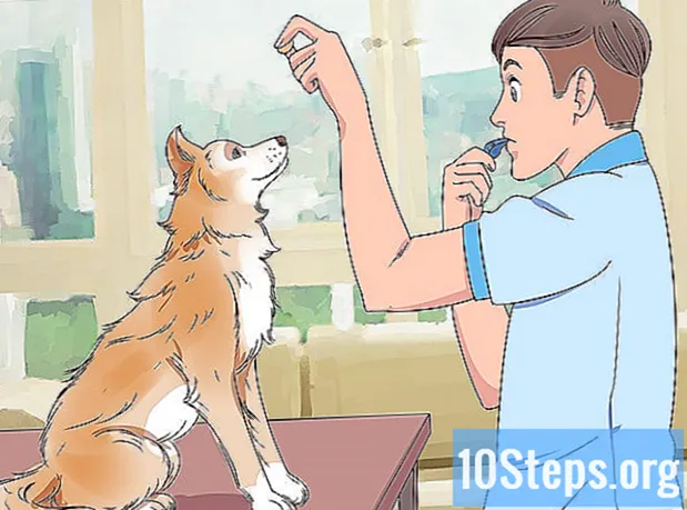 كيفية استخدام صافرة الكلب