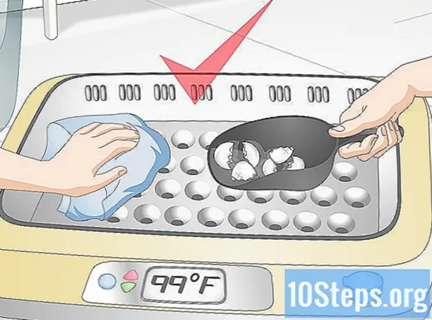 Cum se folosește un incubator pentru a incuba ouă