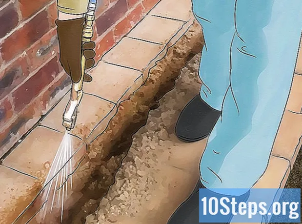 Hur man kan bli av med termiter