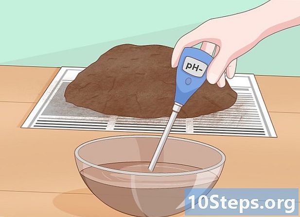 Cara menurunkan pH tanah