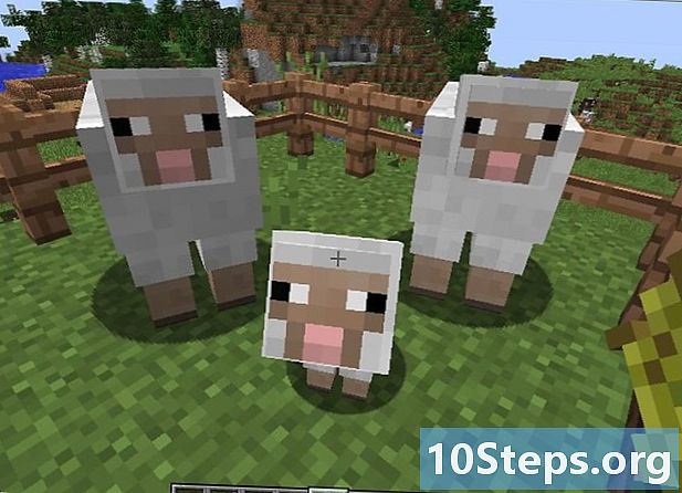 Jak spárovat zvířata v Minecraftu