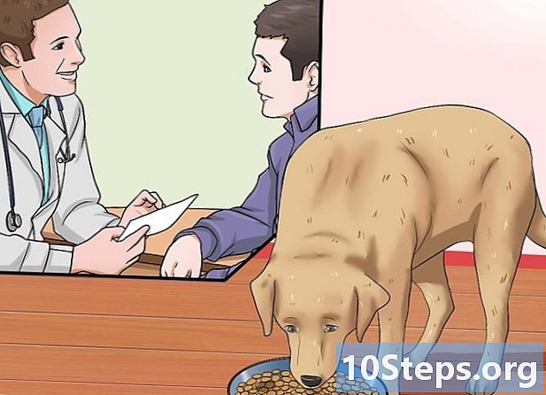 كيفية مساعدة الكلب الخاص بك لانقاص وزنه