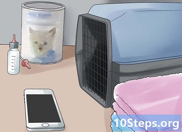 Ako pomôcť šteňaťu pri narodení