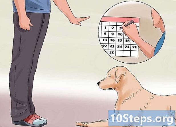วิธีการสอนสุนัขของคุณให้ตายได้อย่างเป็นระเบียบ