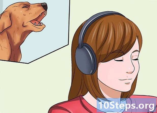 Hogyan tanítsuk meg a kutyát, hogy ne ugatjon - Hogyan Kell