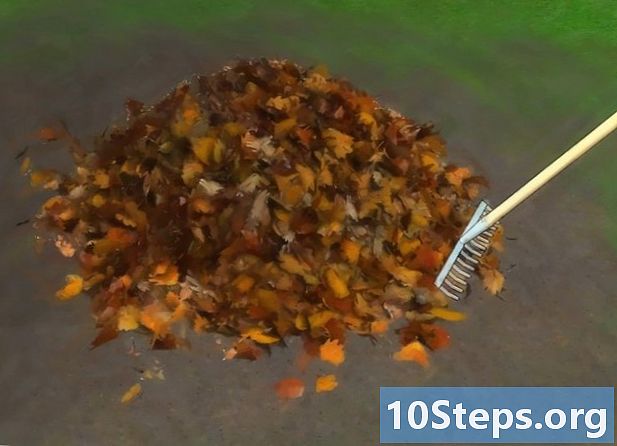 Како компостирати лишће