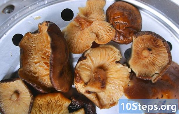 Sådan konserveres friske svampe - Hvordan