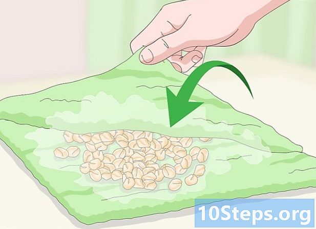 Kaip vartoti plikmedžio sėklas