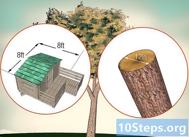 Cara membangun rumah pohon