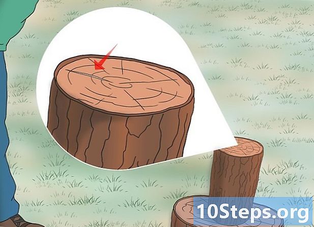 Kuinka leikata puuta