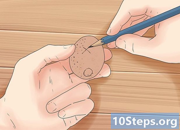 Jak inkubovat krůtí vejce v inkubátoru
