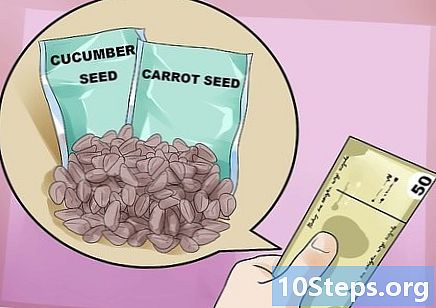 Як вирощувати овочі