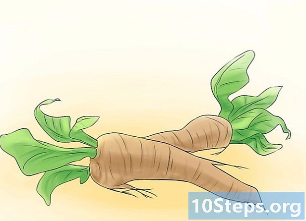 Como cultivar vegetais perenes