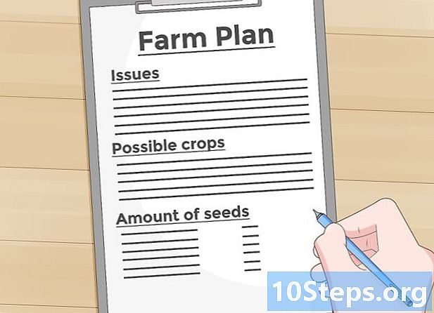 Як вирощувати власну їжу