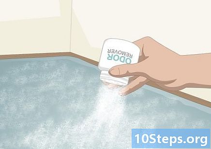 Как да избавите къщата от миризма на скункс - Как Да