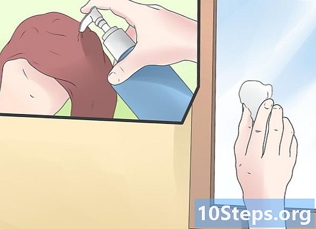 Como livrar sua casa de pulgas e carrapatos