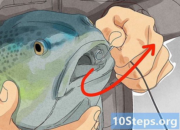 Kā iegūt zivi no āķa