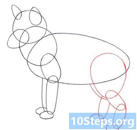 Hvordan man tegner en ræv