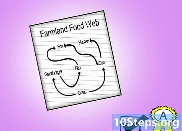 Hoe een voedselweb te tekenen