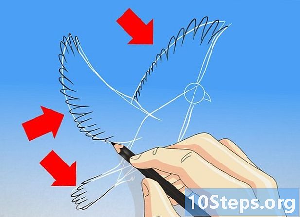 Kako nacrtati golubicu