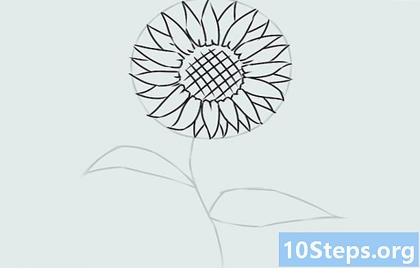 Hur man ritar en blomma
