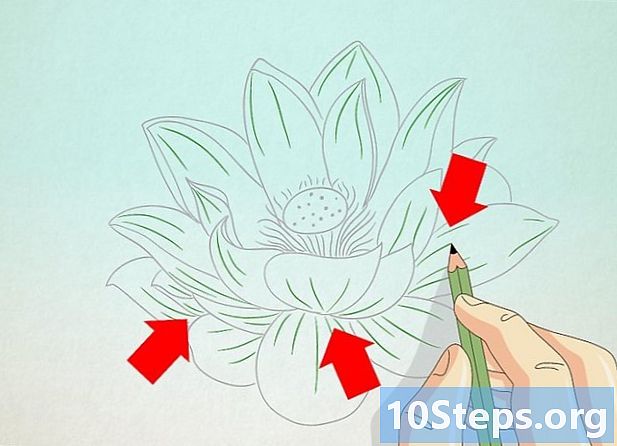 Hoe teken je een lotusbloem