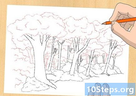 איך לצייר יער