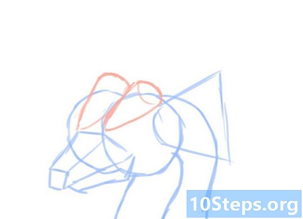 Como desenhar a cabeça de um dragão