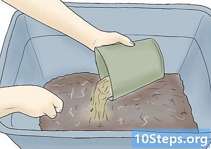 Como iniciar um farm de worms