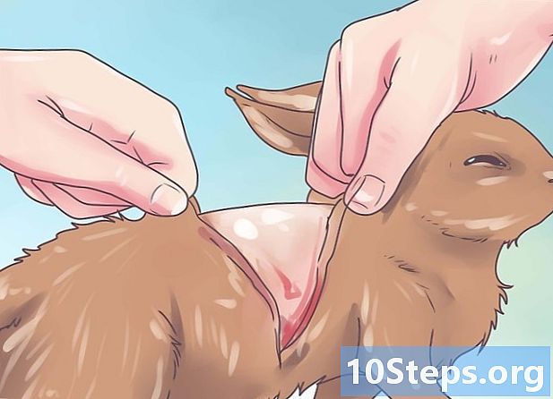 Как да кожите и подготвите заек