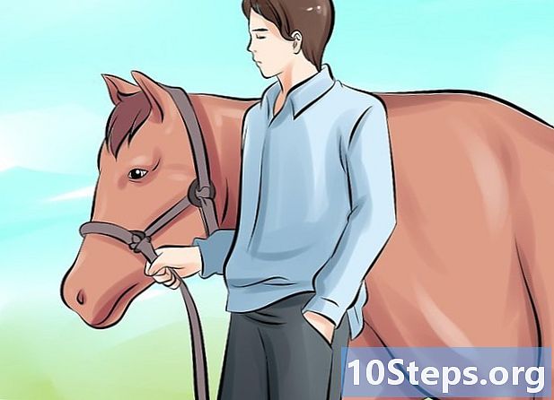 كيف تحسس الحصان المخيف