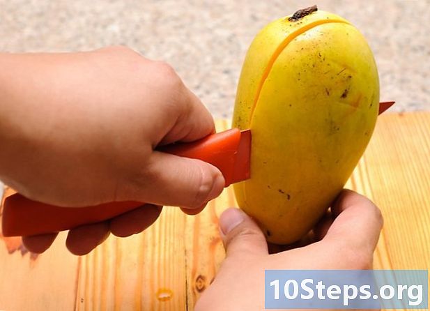 Kako dehidrirati mango
