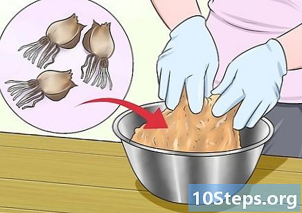 Jak usunąć brodawkę za pomocą soli Epsom lub żonkila
