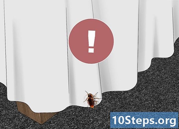 Jak chránit šváby z postele