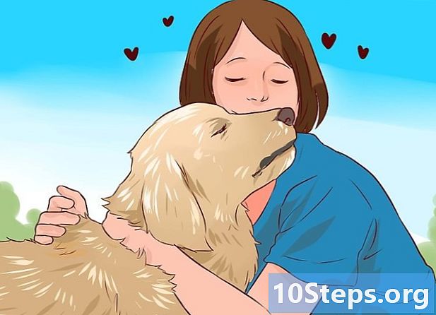 Как любить свою собаку