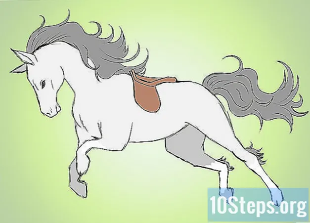 Hvordan legge til detaljer i en hestetegning