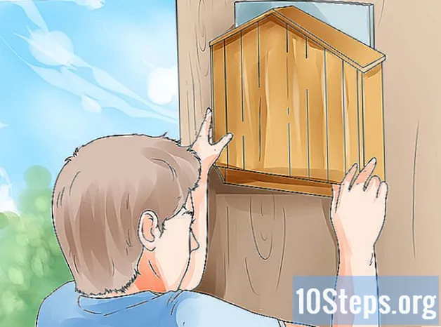 Cum să atragi liliecii în curtea ta