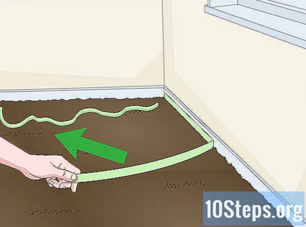 Hur man ljusnar bleka mattan och mattor