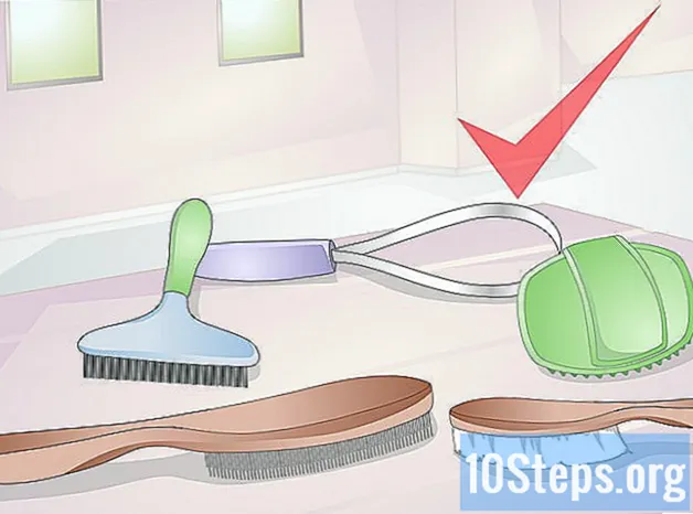 كيفية تنظيف كلبك بالفرشاة
