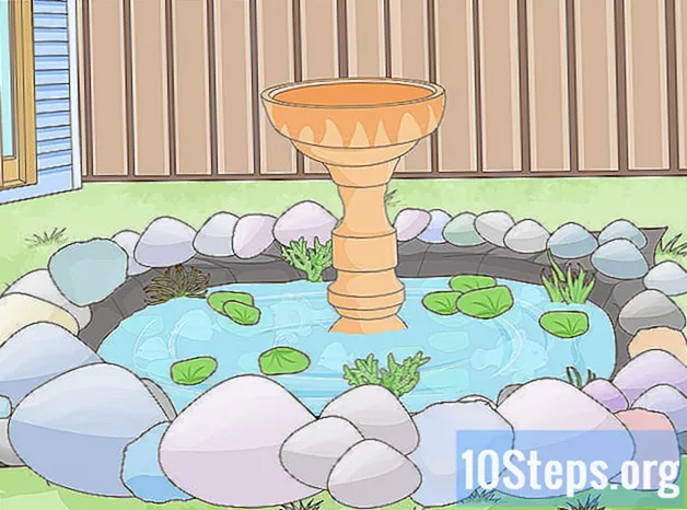 Com construir un estany del jardí del darrere - Coneixements