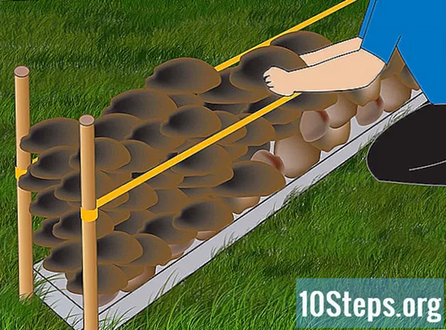 Как да изградим каменна ограда