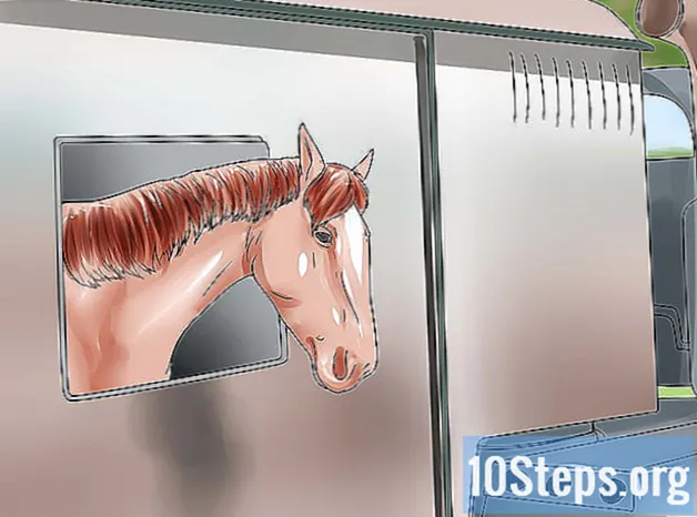 Ako kúpiť koňa