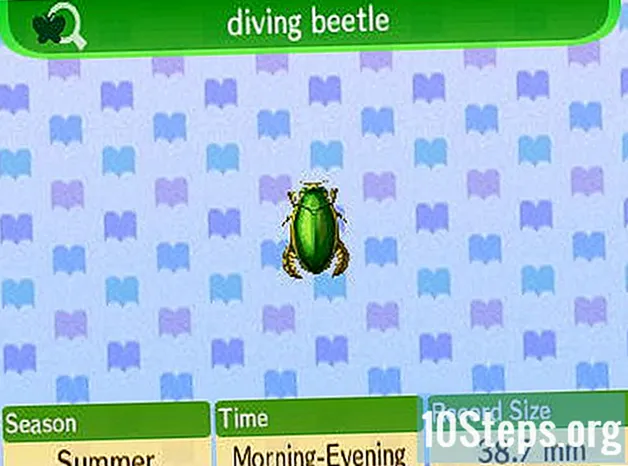 Come catturare uno scarabeo in immersione su Animal Crossing: New Leaf