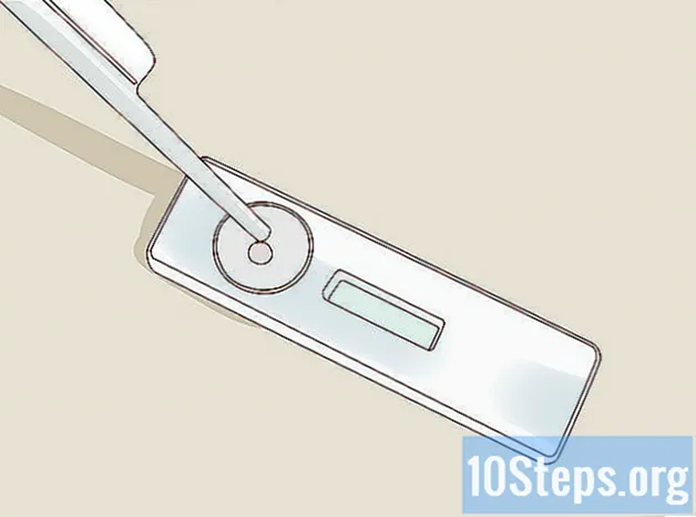 Cara Memeriksa Mare untuk Kehamilan