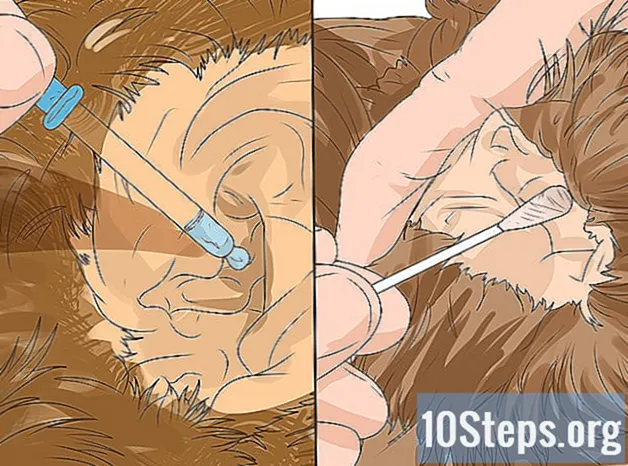 Sådan rengøres Cockapoo-ører - Kundskaber