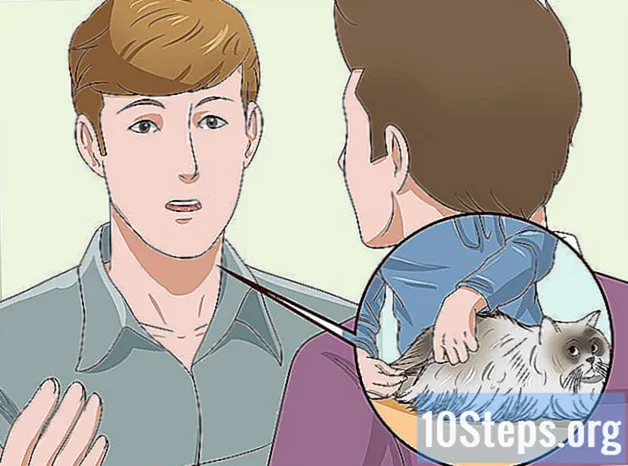 Cum să vă curățați pisica atunci când nu o poate face singur - Cunostinte