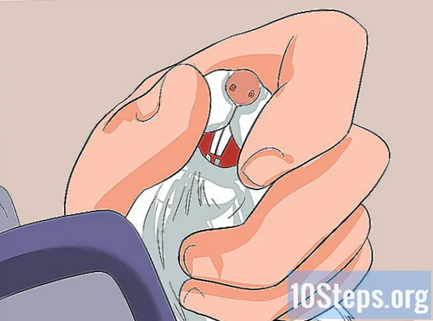 Jak wyczyścić klatkę myszoskoczków - Wiedza