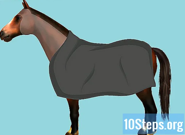 Cara Memotong Kuda Anda