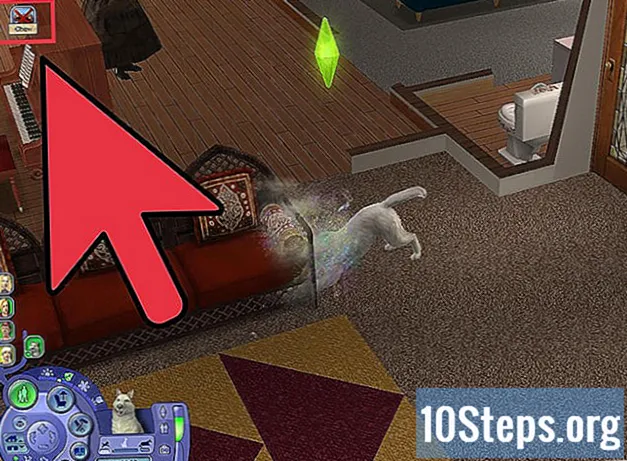 Cómo controlar las mascotas en los Sims 2 Mascotas