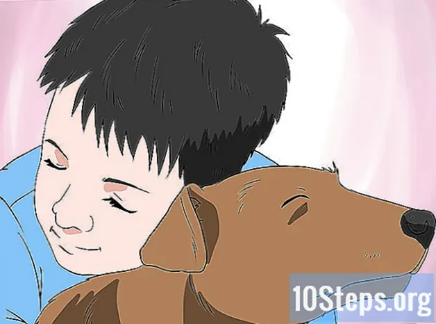 Como convencer seus pais a deixar você ter um animal de estimação - Conhecimentos